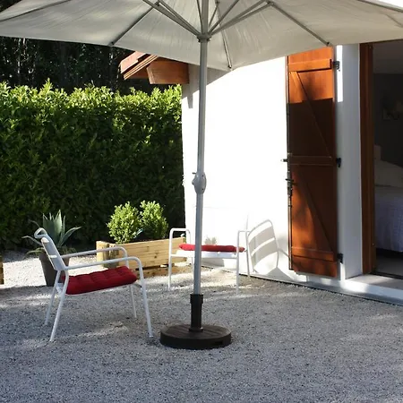 Les Arums De 3* Sanguinet
