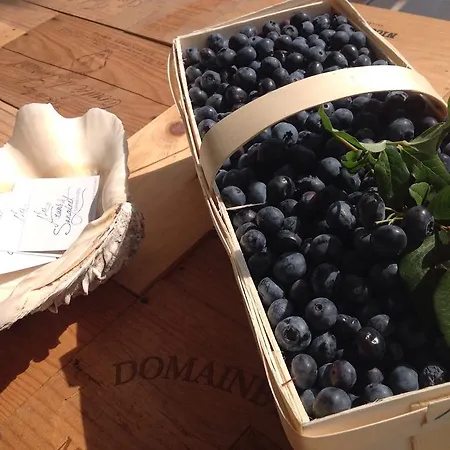 فندق مبيت وإفطار Les Arums De 3*