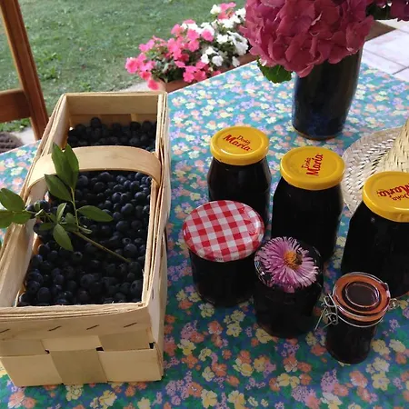 فندق مبيت وإفطار Les Arums De