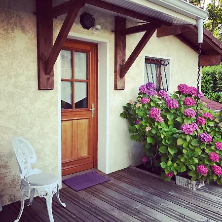 Bed & Breakfast Les Arums De Sanguinet