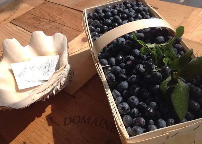 Bed and Breakfast Les Arums De 3*