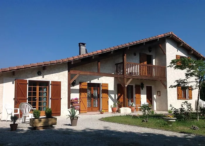 Les Arums De Sanguinet