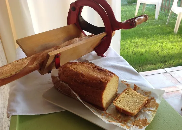 Les Arums De Sanguinet