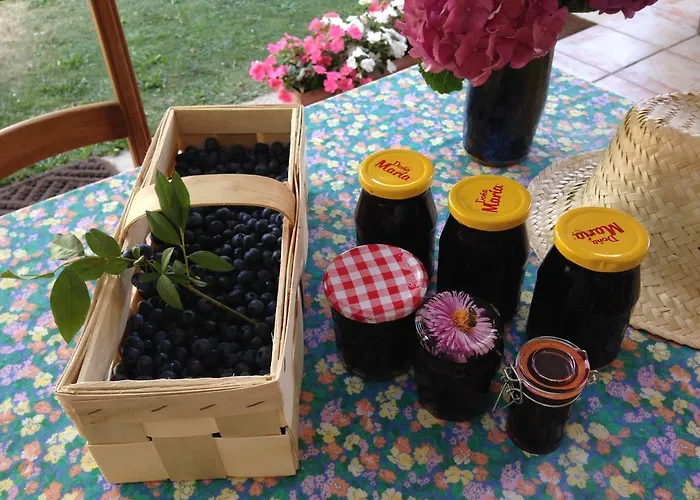 Couette-café Les Arums De