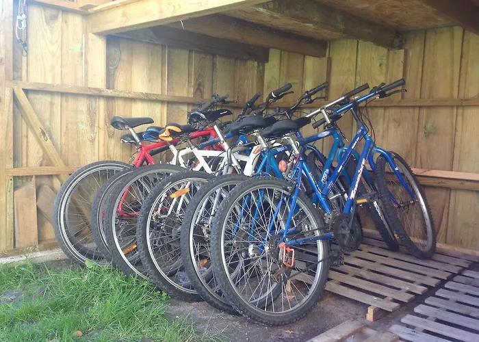 Les Arums De 3* Sanguinet